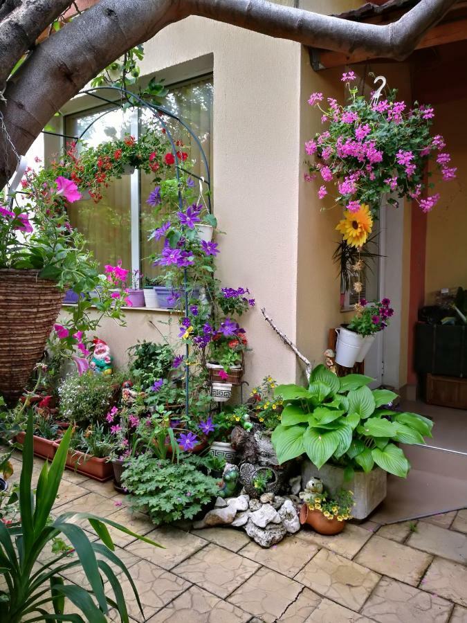 Paradise * Sofía