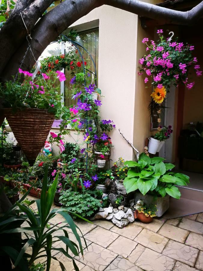 Paradise * Sofia